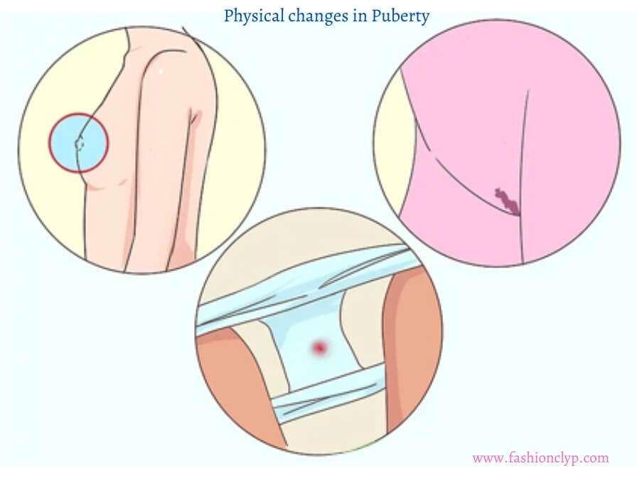 Physical changes in Puberty