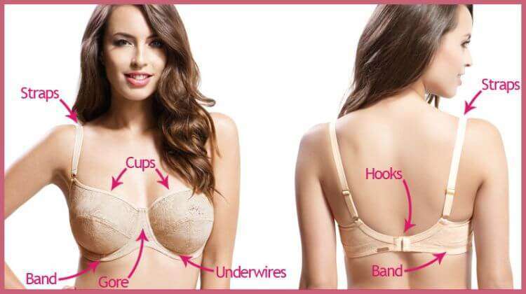 how to tighten a bra