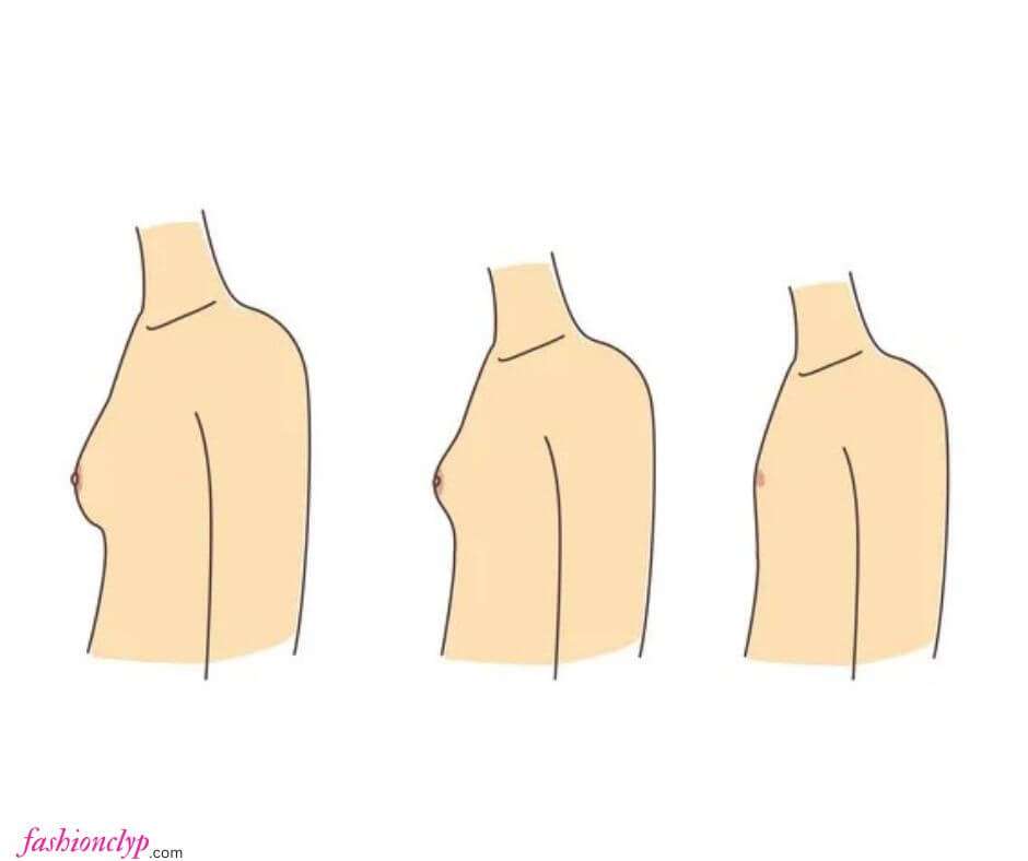 your breasts start to develop 