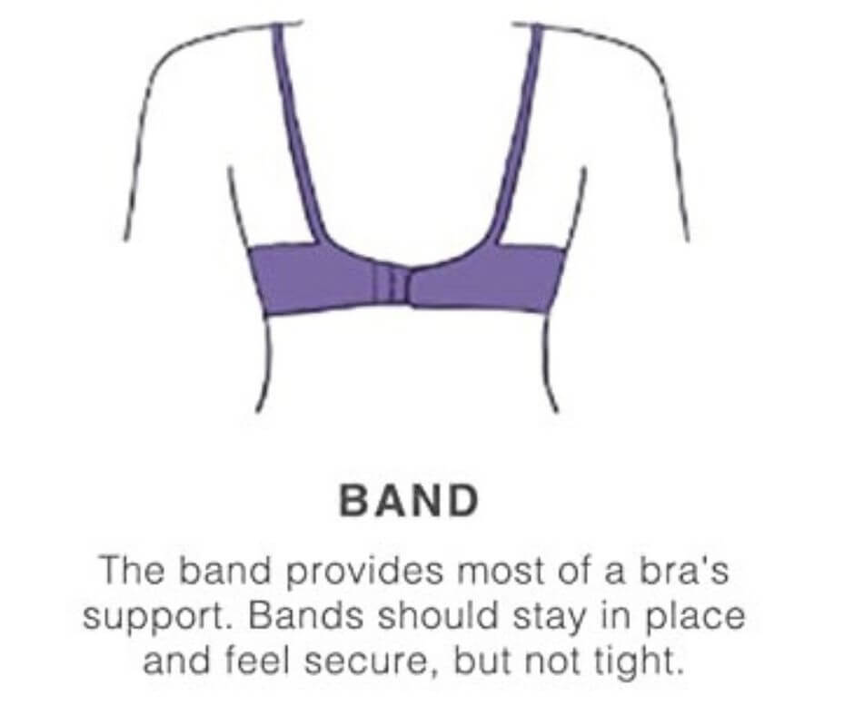 bra band