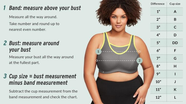 bra cup size chart with pictures