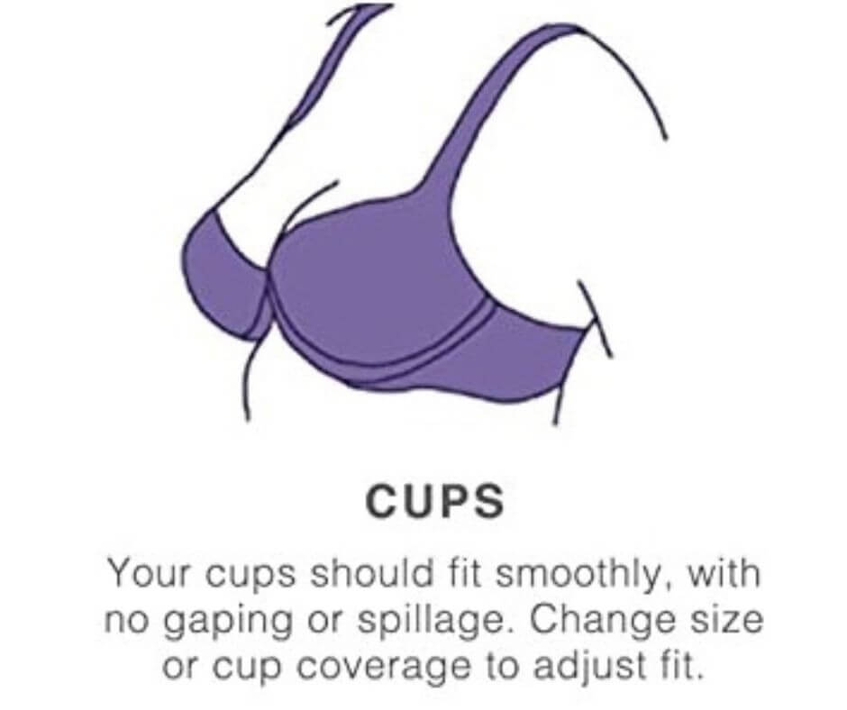 bra cup