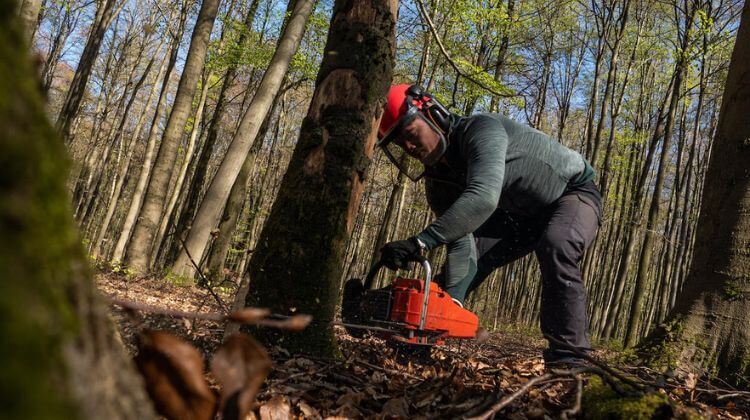 cheap chainsaw pants