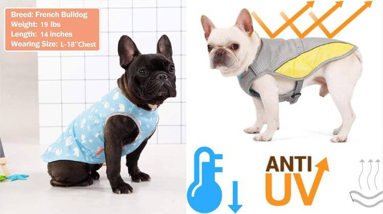 best cooling vests for french bulldogs