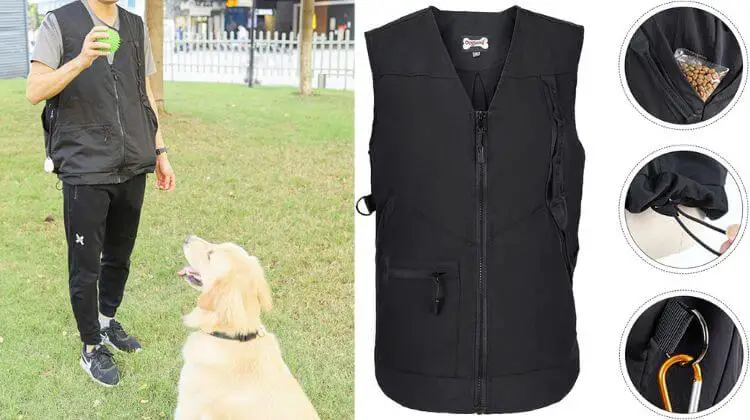 best dog training vests