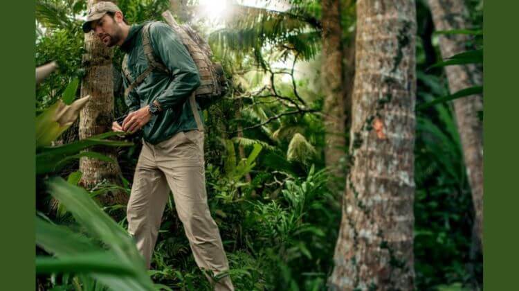 best hiking pants to avoid ticks