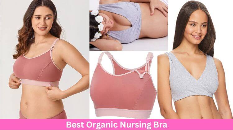 best organic nursing bra