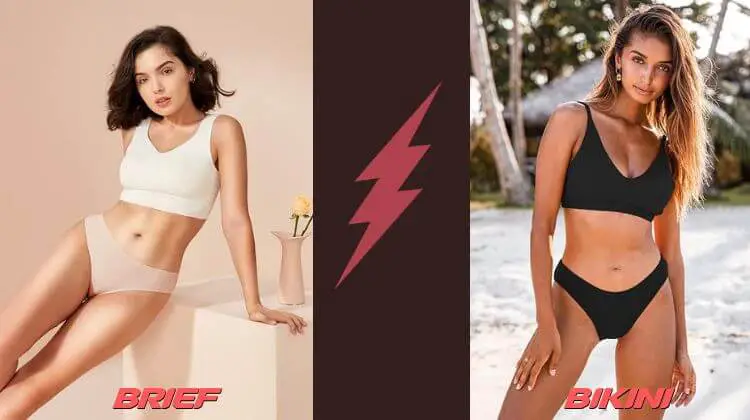 difference between bikini and brief