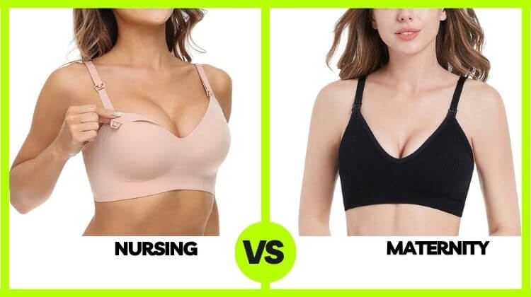 maternity vs nursing bras