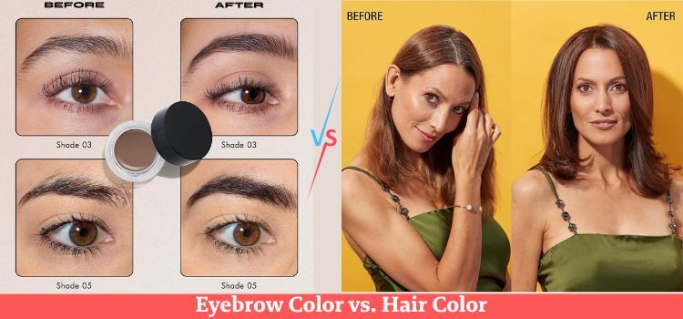 Eyebrow Color vs Hair Color