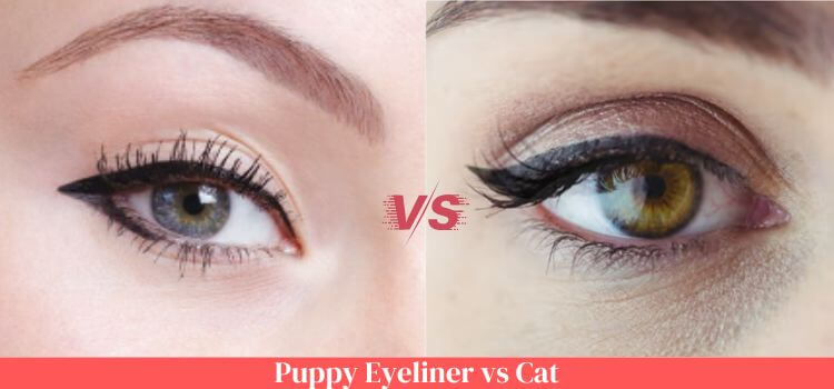 Puppy Eyeliner vs Cat