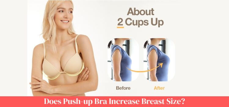 does push-up bra increase breast size