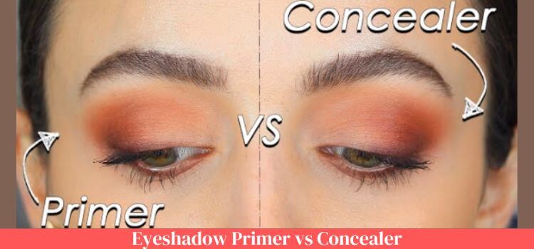 Eyeshadow Primer vs Concealer