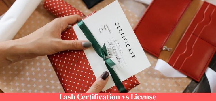 Lash Certification vs License