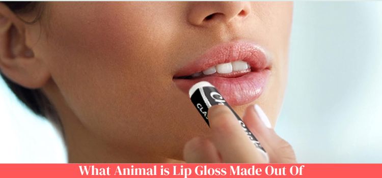 What Animal is Lip Gloss Made Out Of