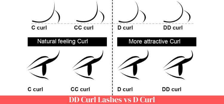 dd Curl Lashes vs d Curl