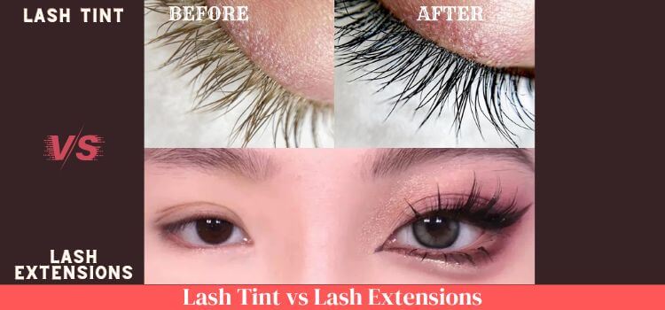 Lash Tint vs Extensions