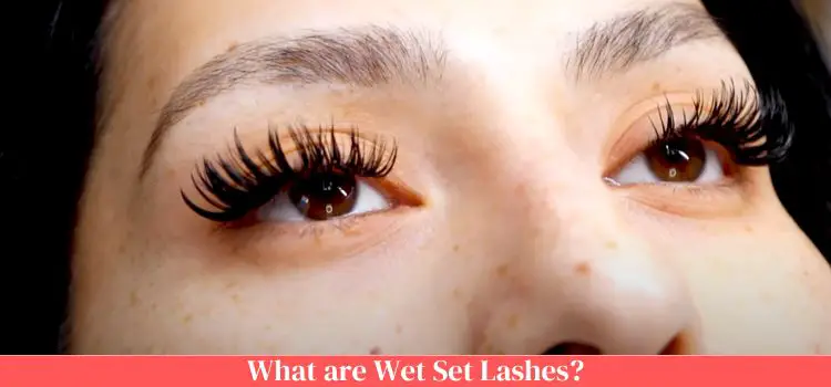 What are Wet Set Lashes