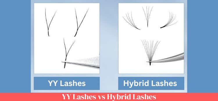 YY Lashes vs Hybrid