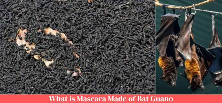 what is mascara made of bat guano